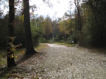 Environment